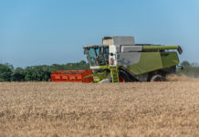 2,5 Millionen Euro für die blaugelbe Land- und Forstwirtschaft