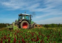 ÖPUL-Zuspruch ist weiter enorm