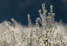 EU-Vorgaben verstärken Druck in fragilen Zeiten