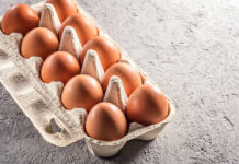 Der „Hühner-Lockdown“ bringt auch das Thema Eier-Kennzeichnung mit