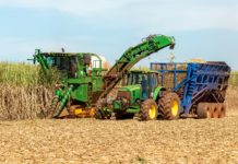 EU-Zuckerimporte um 40 Prozent gestiegen