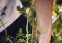 Ohne Boden kein Leben 4. Tiroler Bio Bauerntag