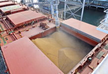 Rekorddefizit in deutscher Agrarhandelsbilanz Beladung im Hafen