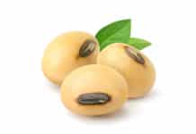 Tag der Hülsenfrüchte