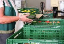 Personalabbau und reduziertes Angebot bei Online-Supermarkt