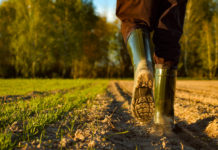 Kosten, Auflagen und Klima fordern Bauern