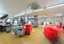 Deutsche Schlachtbetriebe schlittern in Rezession Großfleischerei, Herstellung von Wurstwaren