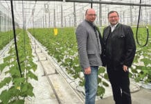 Bessere Planbarkeit durch schnelle Hilfe für Gärtner