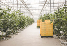 Teure Rechnungen: Bauern brauchen Kostenentlastung und flexible Strompreismodelle