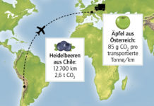 Heimisches Obst statt Beeren aus Übersee Heidelbeeren aus Chile