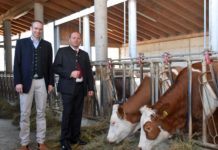 Veterinärmedizin: Summer School in Rotholz geht in die zweite Runde