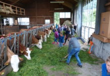 Jetzt für „Open Bauernhof“ anmelden und mitmachen