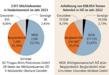 Mehr Milch und weniger Milchbauern in Niederösterreich