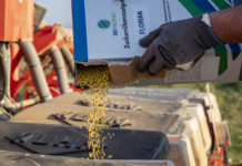 EU-Entscheid verbietet Neonic-Beize: Eigenversorgung bei Zucker in Gefahr