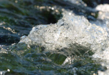 Trinkwasser schützen – gemeinsam mit der heimischen Bauernschaft