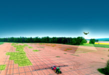 Punktgenaue Unkrautbekämpfung