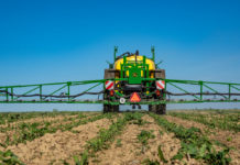 Maisanbau ohne TBA? Wir schaffen das!