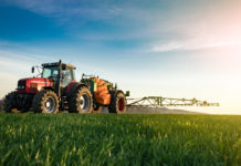 Pflanzenschutz: Frankreich setzt auf Alternativen