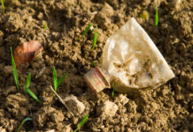 “Müll löst sich nicht in Luft auf”