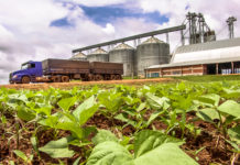 Mercosur: EU-Kommission pocht auf Nachhaltigkeit