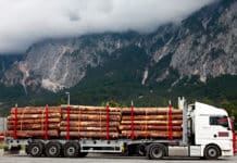 Holz mit grünem Mascherl?