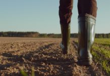 Ziel der Einheitswert-Hauptfeststellung: „Möglichst unbürokratisch“