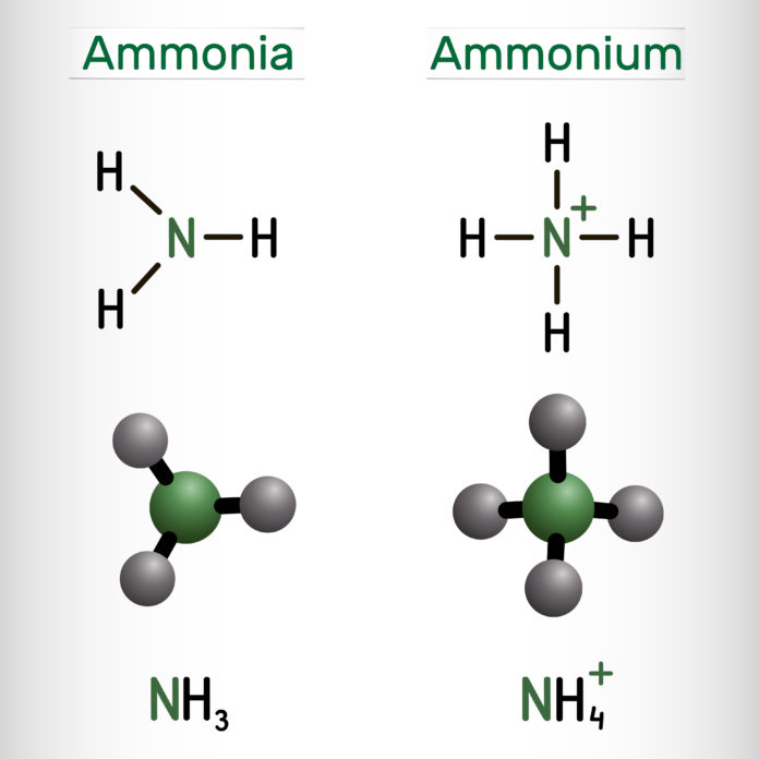 Ammonium und Ammoniak