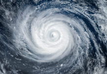 Wirbelsturm verwüstet Neuseelands Farmen Wirbelsturm