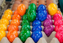 Turbulenzen am Eiermarkt: Erzeuger warnen und fordern höhere Preise