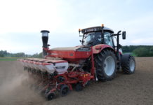 Was die Dreieckssaat wirklich bringt