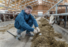 AMA-Marketing rückt FPÖ-Kritik gerade