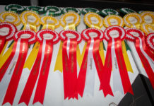 Glückwünsche zum 100-jährigen Jubiläum