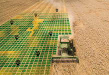 Wie die Digitalisierung den Pflanzenbau beeinflusst