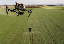 Wie sich digitale Technologien auf die Umwelt auswirken sollen