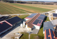 Land- und forstwirtschaftliches Potential in der Energiewende nutzen