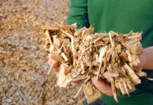 Biomasse gilt weiterhin als erneuerbar