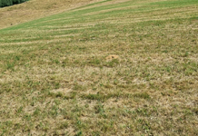 Versicherung schützt bei Ertragsausfällen – Ende der Antragsfrist am 31. März beachten!