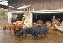 Aktivisten stellen beste Haltung an den Pranger