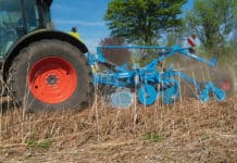 Einsatzstarker Rubin 10