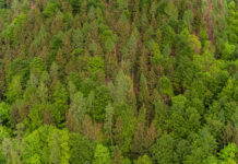 Aktive Bewirtschaftung beibehalten