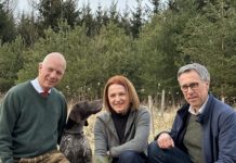 Bäume pflanzen als Zeichen für klimafitte Wälder in Österreich