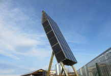 PV-Pappel hat viele Vorteile