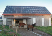 Photovoltaik: Vorschläge der Jungbauern