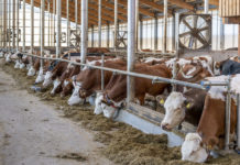 Animal Tech von 22. bis 26. April