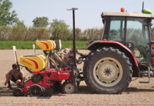Precision Farming: Aussaat mit dem MaterMacc MS8230