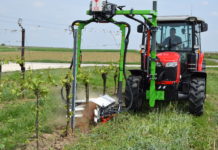 Stammputzen leicht gemacht