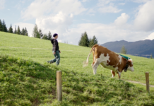 Wer braucht Urlaub am Bauernhof?