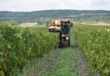 Nach guten Jahren folgt auch ein mageres