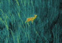 Rehkitzrettung per Drohne von Landtag angenommen