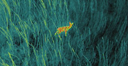 Wärmebildkamera Kitzrettung